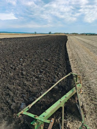 Appreciating the Plow Coulter